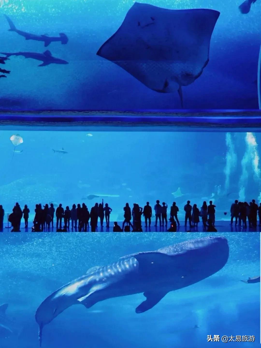 长隆门票买一送一·9月特惠·长隆32周年庆9月限定福利来啦