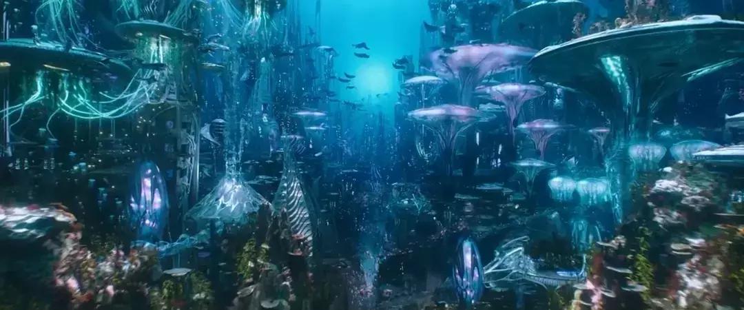 与海洋生物一起旅游,与海洋生物同游