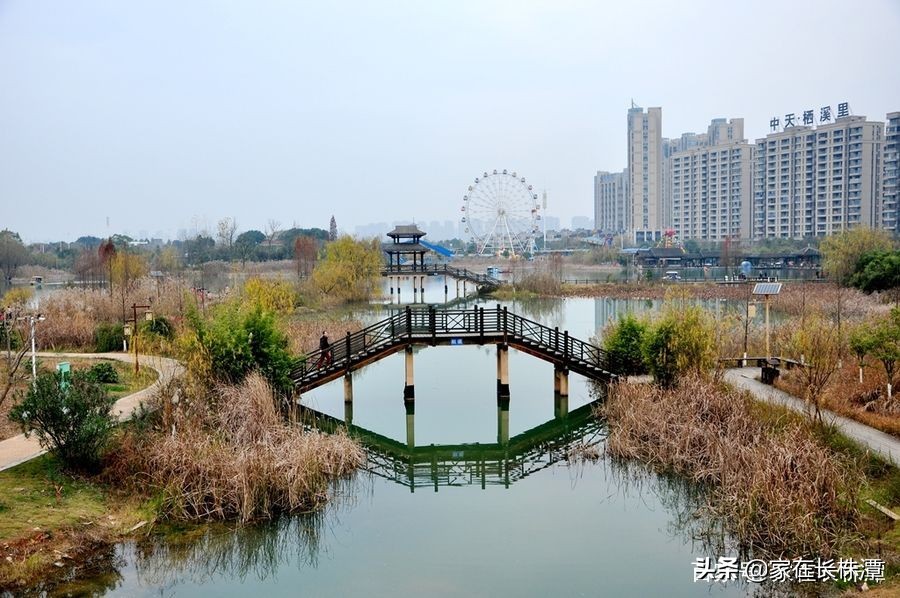 长沙含浦至高铁西站地铁最新规划,长沙地铁8号线含浦