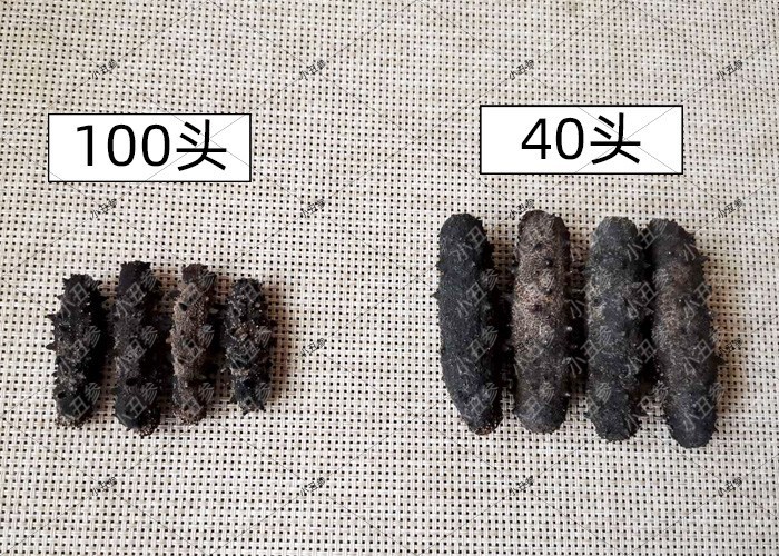 便宜海参和贵海参差在哪,便宜海参和价格高的海参有啥区别