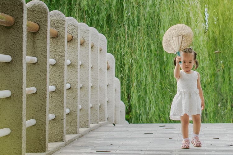 大暑的五种美,小暑的七种食物
