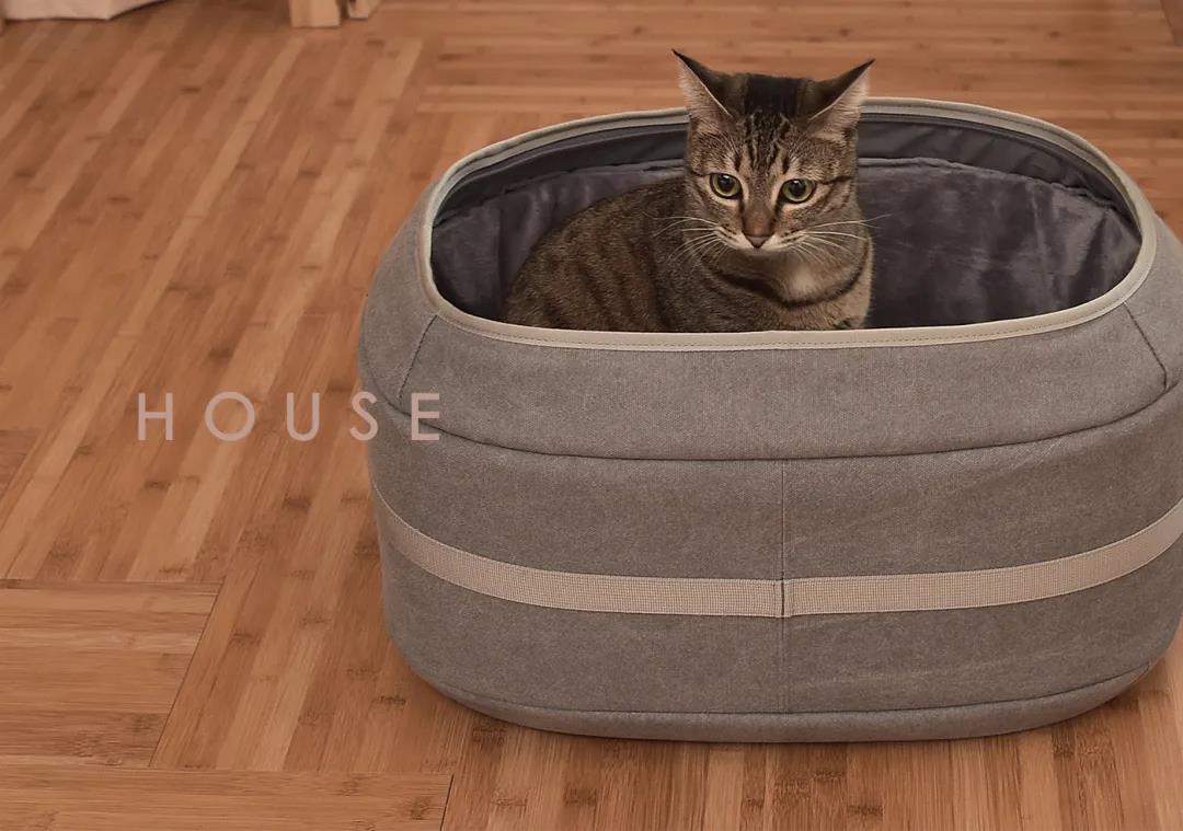 未来5年宠物智能产品,宠物产品logo设计