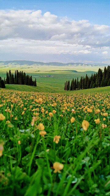 北疆自驾13天路线推荐,国内3条最美出境自驾线