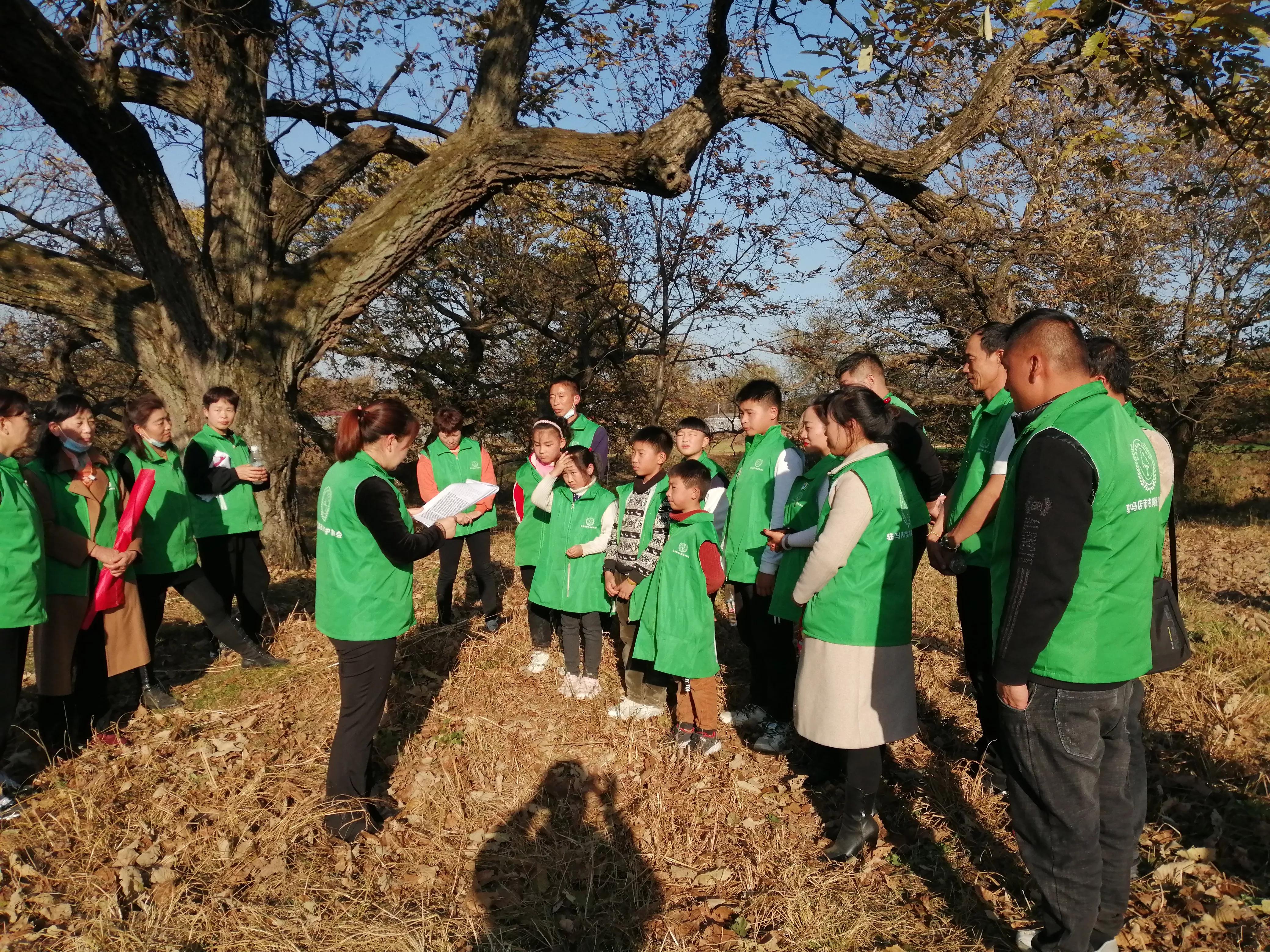 驻马店志愿者行动,驻马店古树保护志愿
