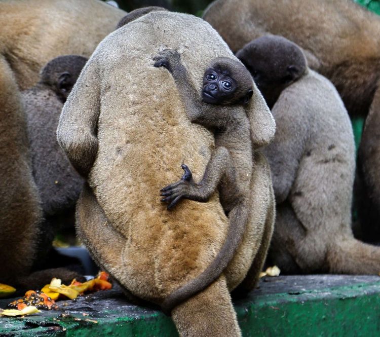 南美之旅总结篇,南美之行结束感悟