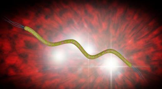 丽珠得乐治疗幽门螺杆菌吃几天,感染了幽门螺杆菌该如何治疗呢