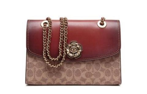 想在情人节时临时抱佛脚？这本求生欲法则助你一臂之力