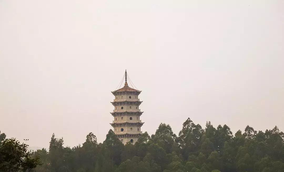 到了泉州却不知道哪里玩,惠安科山公园不爬山游玩攻略