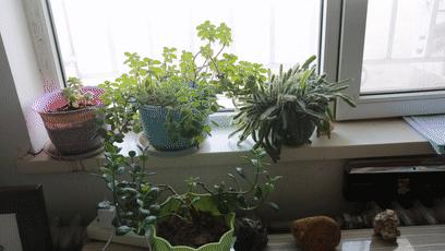 戈壁滩无人区,戈壁滩无边无际