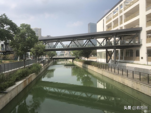 苏州沧浪学校怎么样,苏州沧浪中学校最新进展