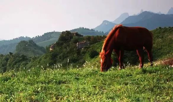 有了这些均温不足20℃的空调山，再热情的“烤验”也挡得住