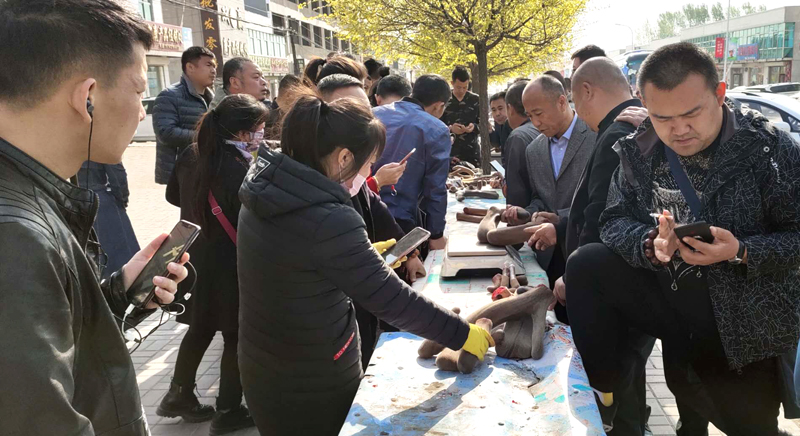 鹿产品集市,鹿乡鹿产品有哪些