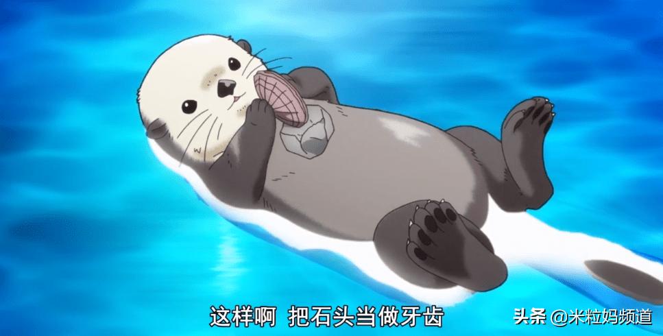 年度惊喜电影,8部科普必看的动画片