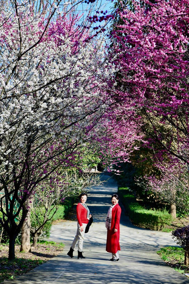 傅家边野营,走进金溪傅家村