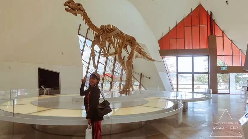 澳洲|春意堪培拉,看袋鼠、品酒、赏花、住进动物的家