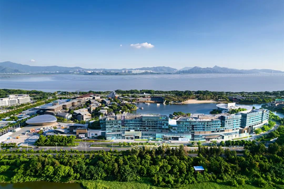 深圳必打卡地点免费,深圳年轻人必打卡地