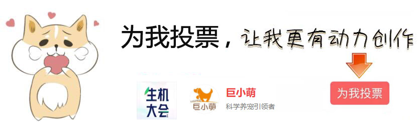 狗狗膀胱结石手术后怎么恢复,狗狗得膀胱结石怎么办