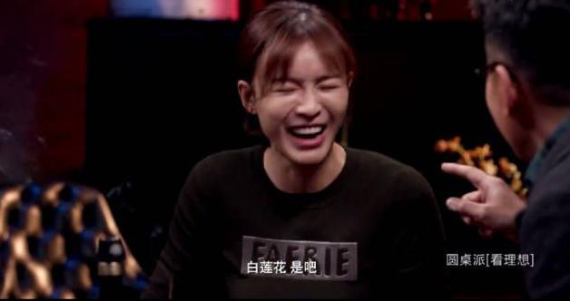 杨澜访谈胡歌,杨澜访谈录赵本山央视主持人