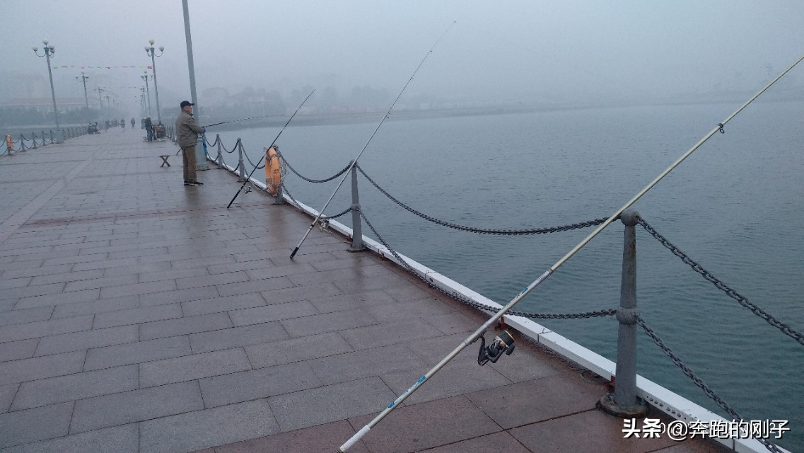 备战南京马拉松5—烟台滨海路畅跑15公里海钓黄海明珠合肥号