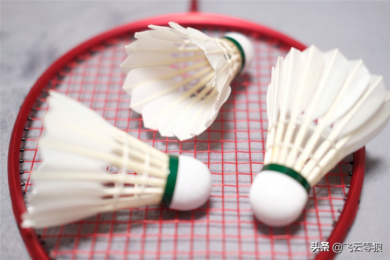 「中羽在线飞云零狼」威羽斯钻一钻二钻五评测——高性价比鹅毛球