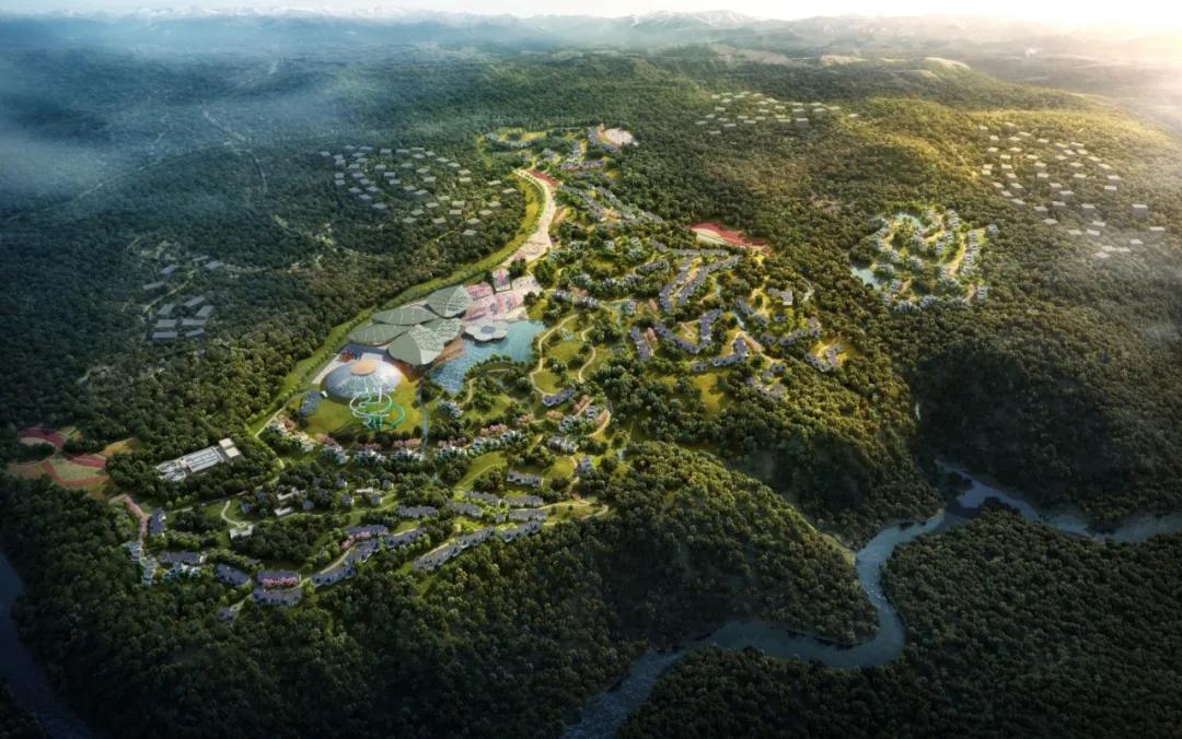 生活与态度,生活态度与健康