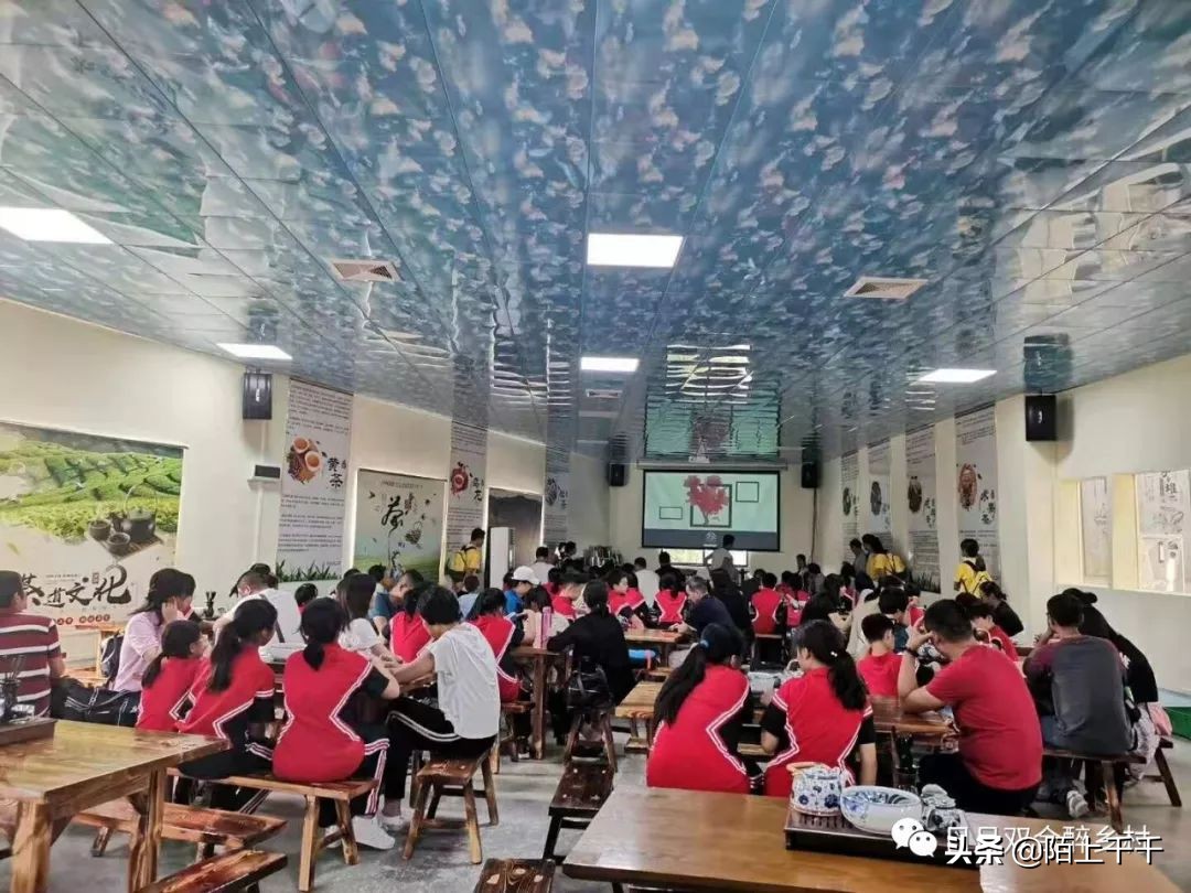 鹤山双好茶韵农耕研学基地值不值,江门茶文化研学基地
