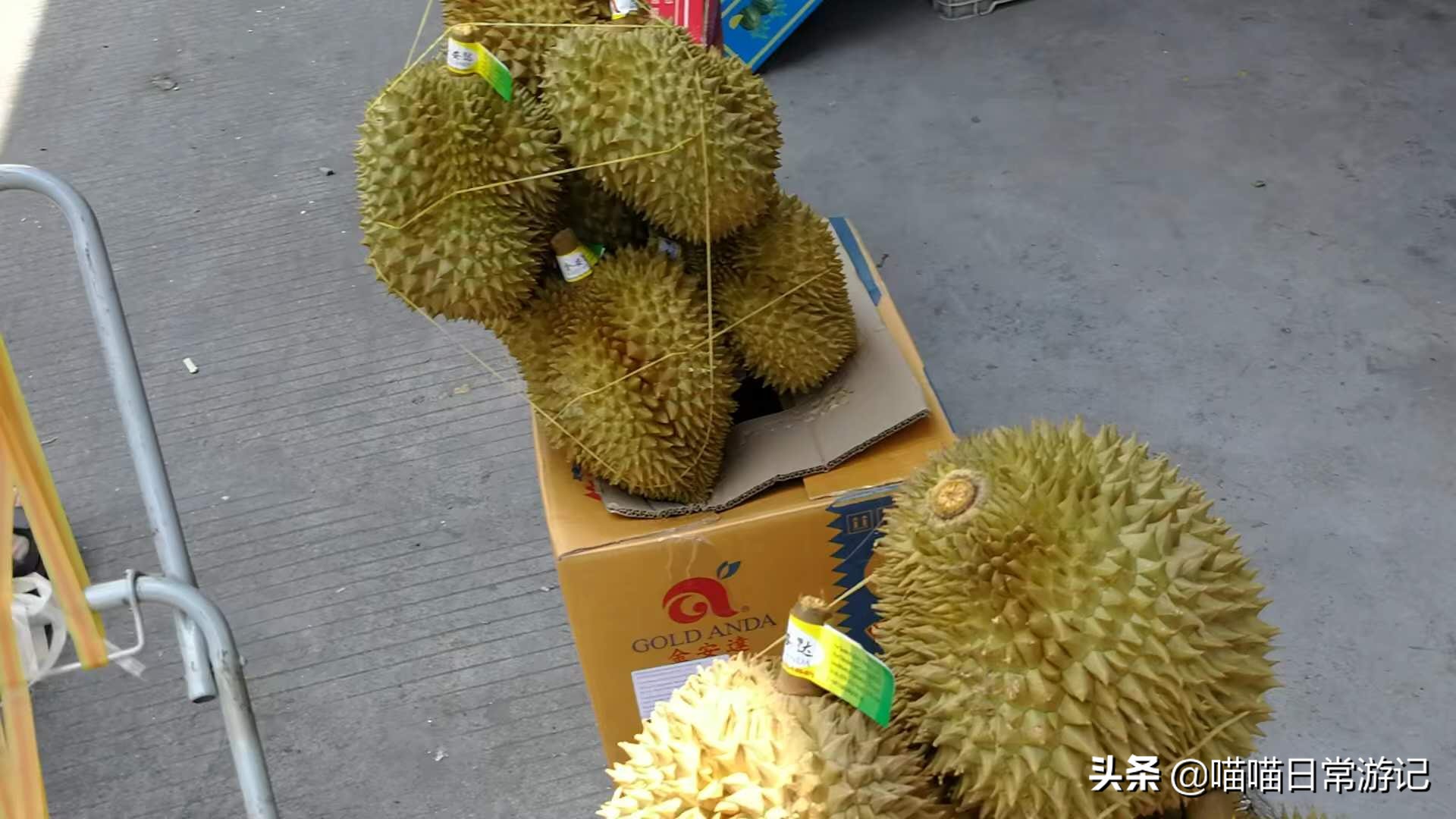 今年最佳水果批发市场在哪里,怎么找当地的水果批发市场