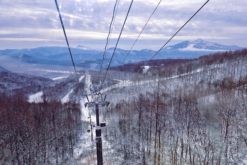 日本东京一日游攻略详细,日本东京五日游最佳路线图