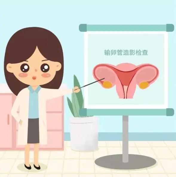 输卵管检查通液和造影哪个好,输卵管做通液好还是造影好