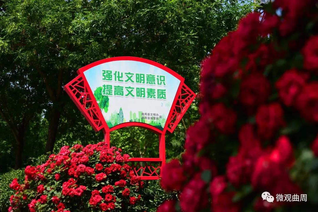 增添城市文明气质公益广告,公益广告宣传让城市更文明