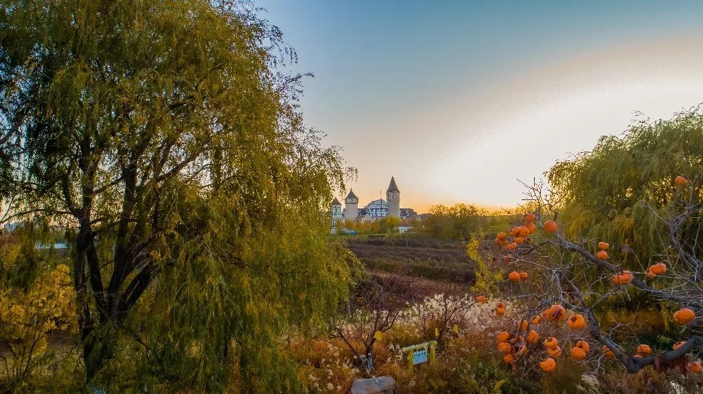 一路遐思入初冬，美好如约而至——张裕卡斯特酒庄