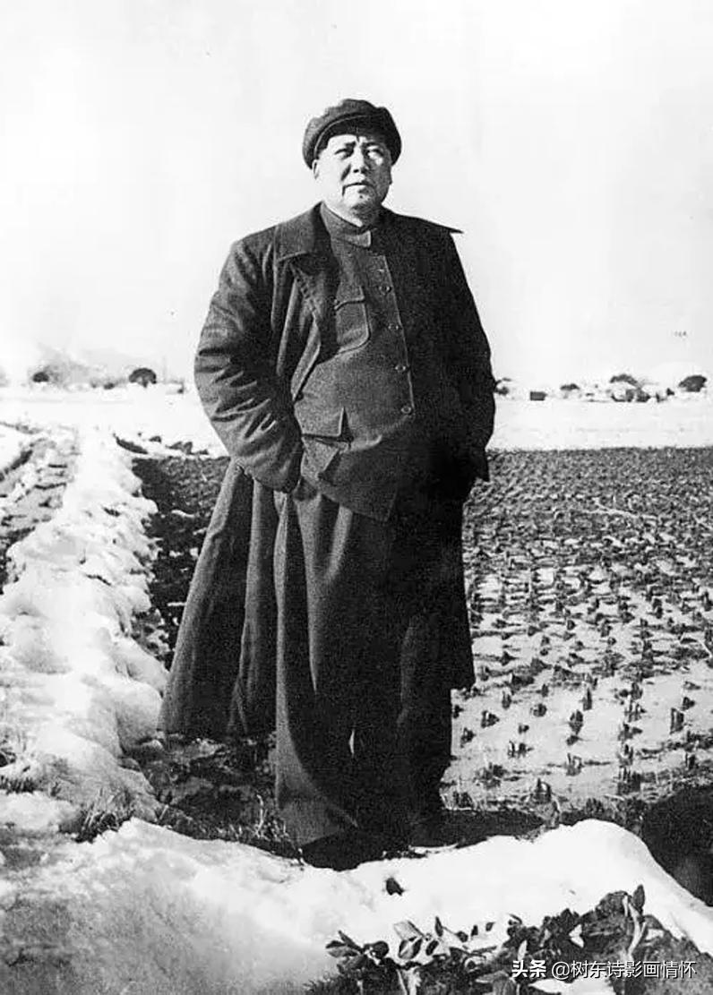 毛主席与众不同的9大特质