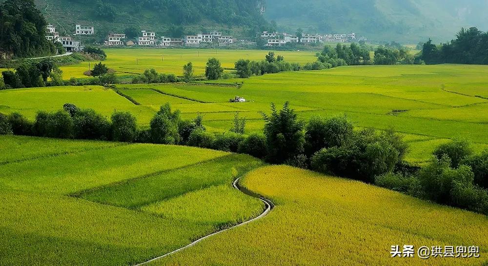 珙县孝儿、洛亥、上罗、玉和....全县都在做这样一件事情