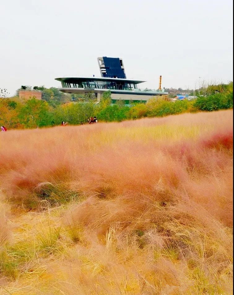 汤山矿坑公园,汤山矿坑公园项目