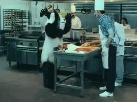 爆火熊猫人表情包图片,爆火表情包熊猫