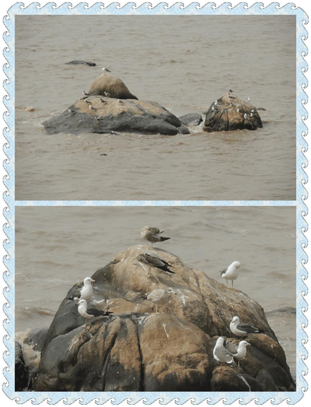 自助旅行普陀山,普陀山旅行