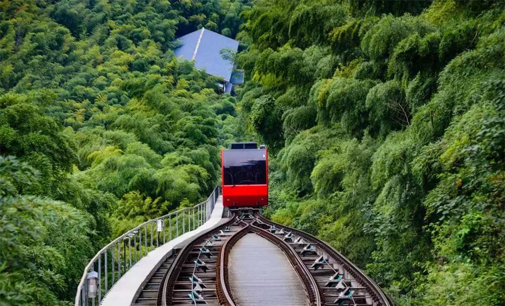 火遍江浙的东南亚餐厅,火遍江浙沪