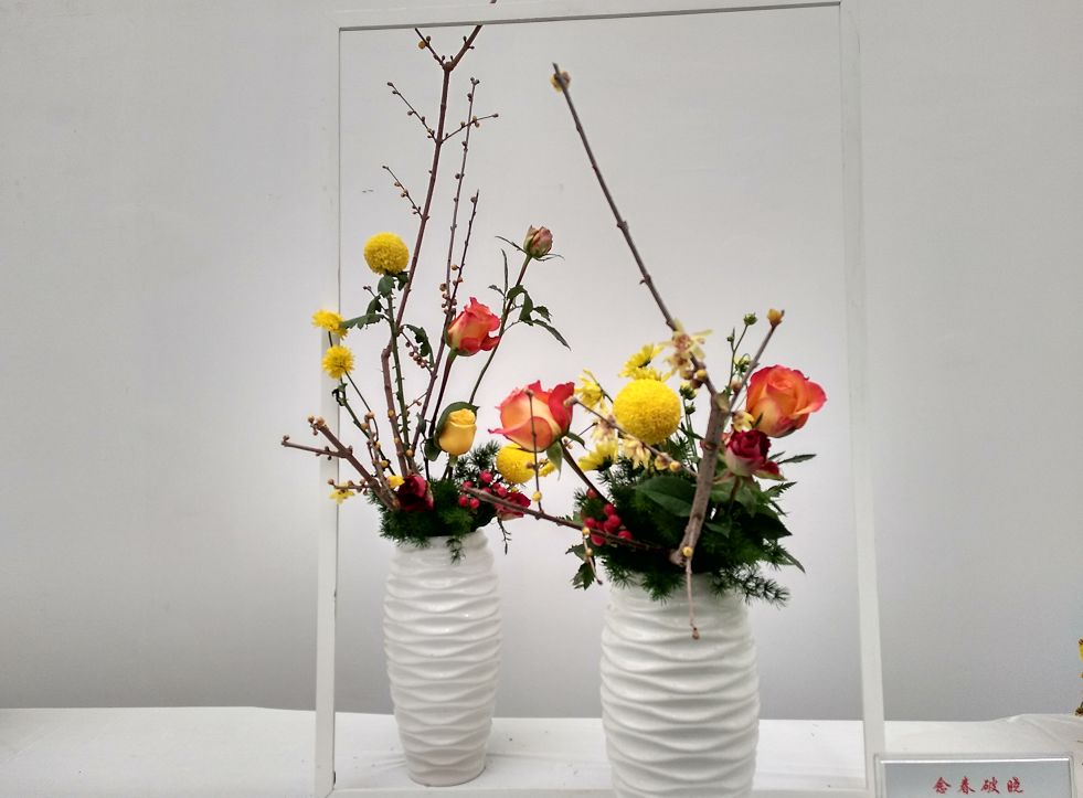 许昌鄢陵腊梅,许昌蜡梅