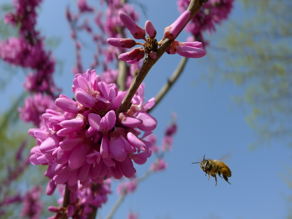 手机摄影装备推荐,川藏线户外摄影装备
