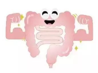 疫情蔓延，免疫力提高是关键！益生菌的秘密你应该要记住