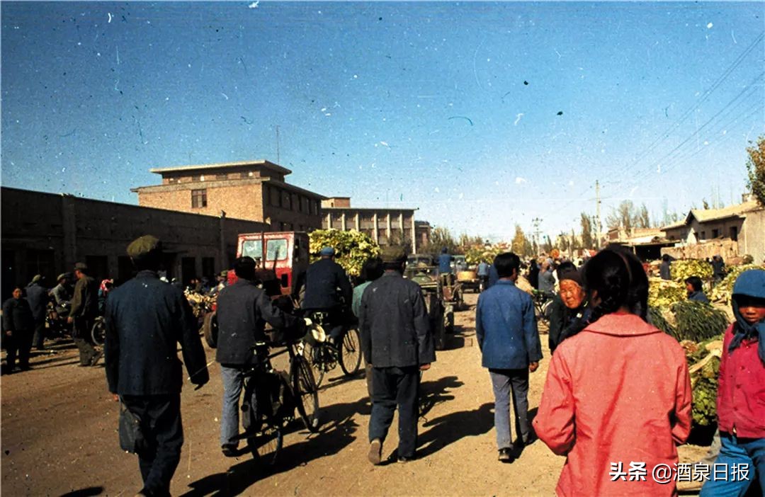 壮丽70年奋斗新时代在线观看,壮丽70年奋斗新时代完整版