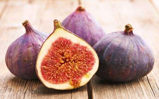 无花果被称为生命之果,生命之树盆栽