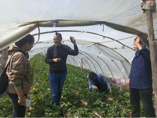 堪称样板!这家合作社有“独门秘笈”,还是有“高人指点”