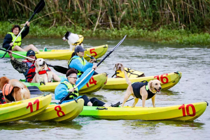 苏州的宠物公园在哪里,苏州有哪些乐园可以带宠物