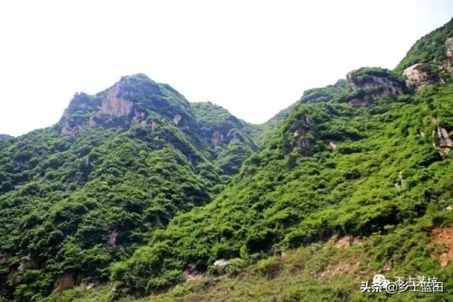 蓝田靳洪涛图文：蓝田葫芦岔一个值得去的地方