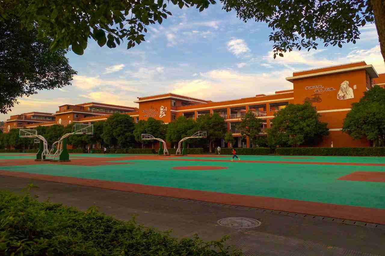 也许你需要了解一下所在区的民办学校？