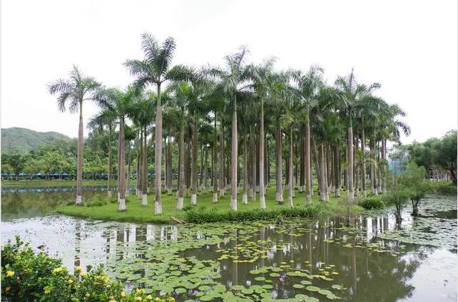 普通一本逆袭考研985,一招教你逆袭985