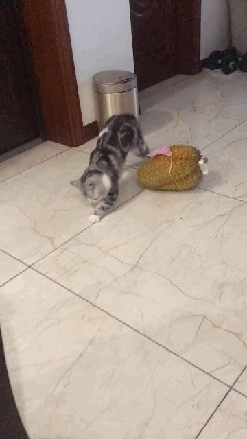 丢人搞笑动图gif,搞笑gif趣图世人皆醒我独睡