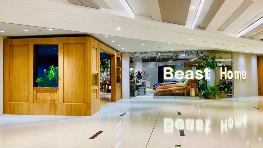 11月份日记大全,扫街日记11月