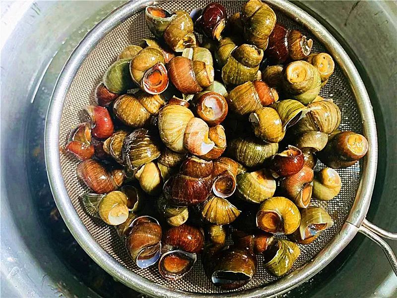 田螺怎么洗最快吐沙最干净,田螺洗干净后还是沙沙的